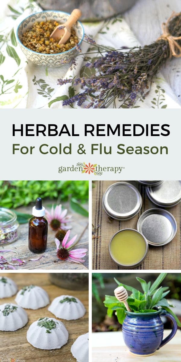 Herbal Remedies for Cold and Flu Season