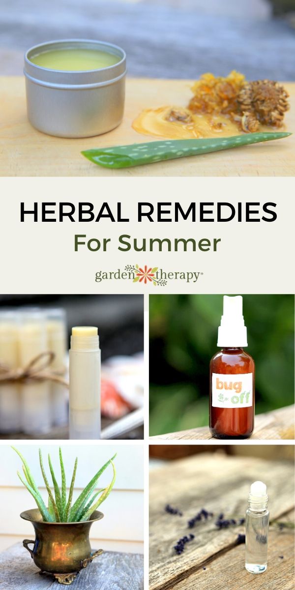 Herbal Remedies for Summer