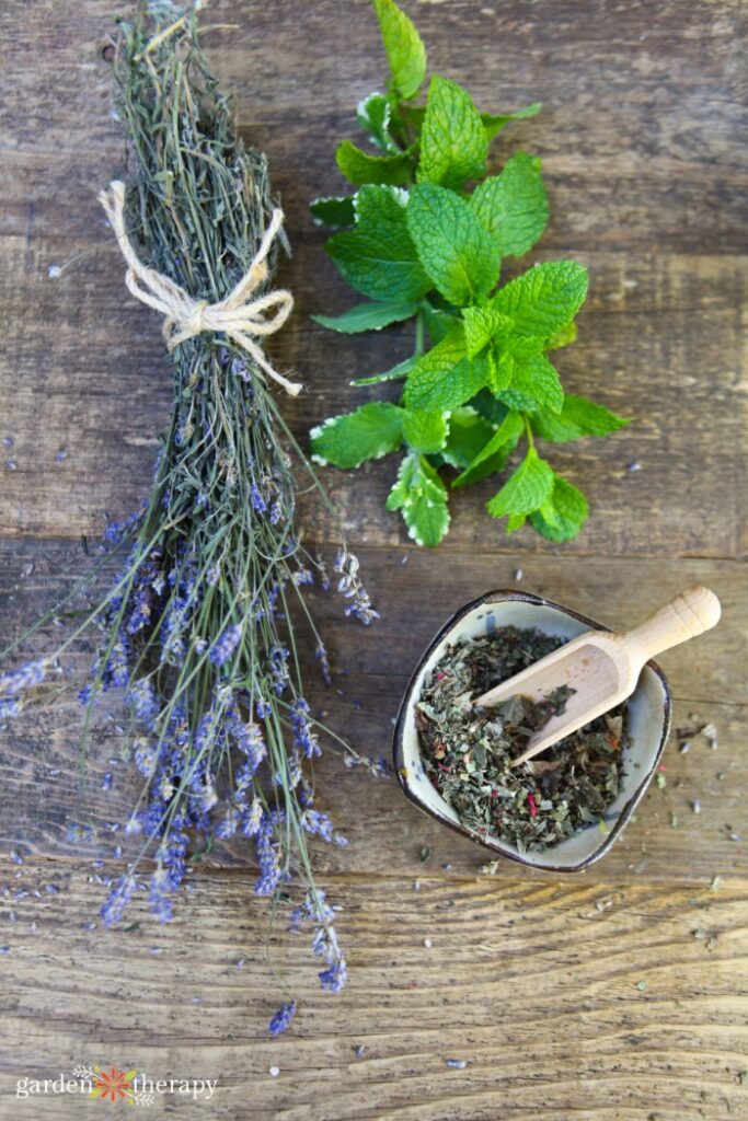 dried herbs lying side by side on a table