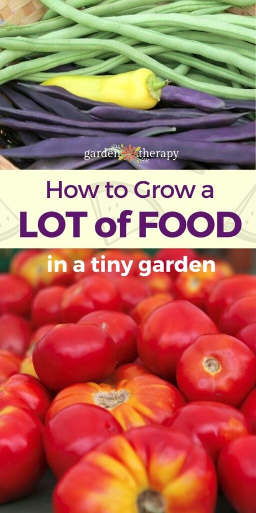 Pinterest graphic for how to grow vegetables in a small garden
