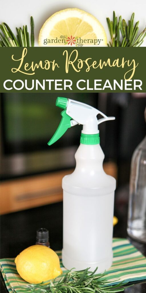 Diy on sale granite cleaner