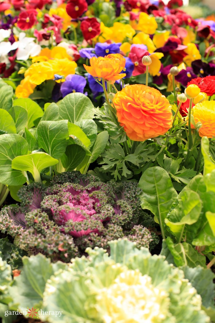 Mixed Edible and Ornamental Garden bed