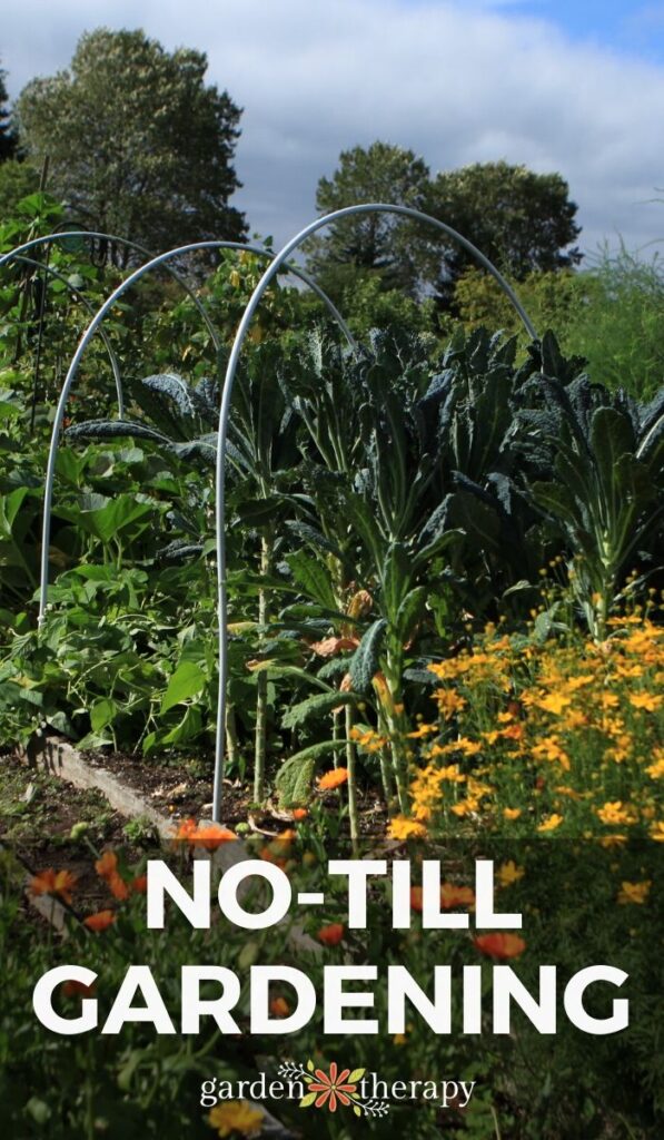 pinterest graphic for no till gardening