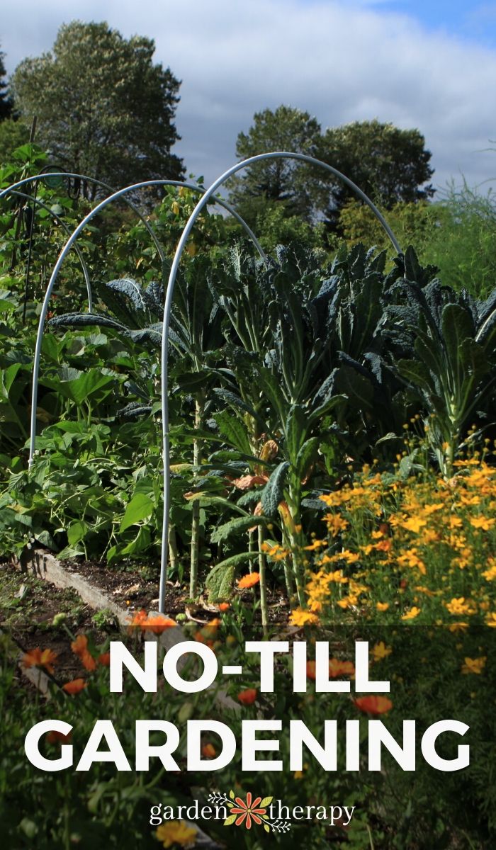 No Till Gardening: Create a No-Till Garden and Retire Your Tiller Forever