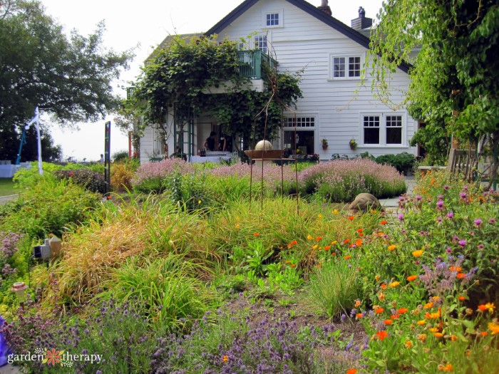 house with a chaos garden full of flowers and grasses
