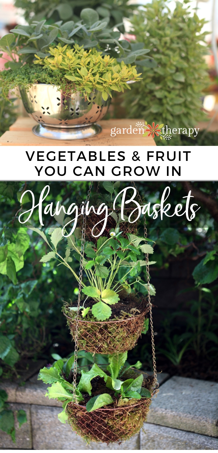 Simple Vegetable Gardening in Hanging Baskets Garden Therapy
