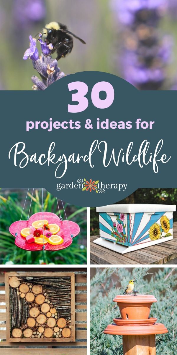 30 projects and ideas for backyard wildlife habitats