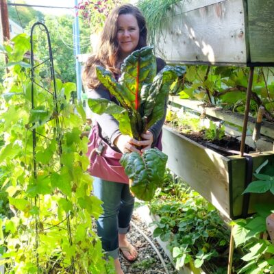 Woman harvesting chard from a vertical garden bed