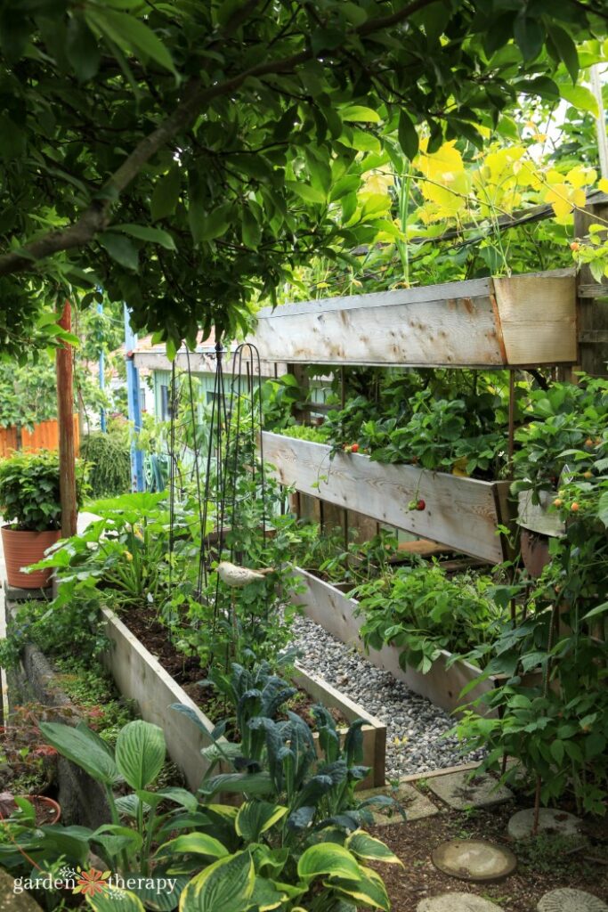 Jardin vertical avec trois lits surélevés empilés