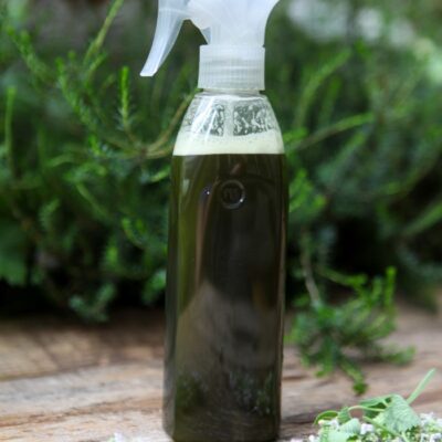 Natural Pest Control Spray with Herbs - Garden Therapy