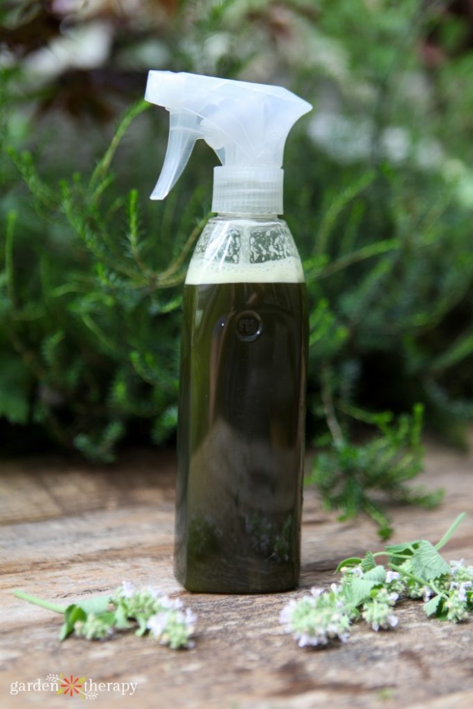 Garden Alchemy herbal pest deterrent in a spray bottle