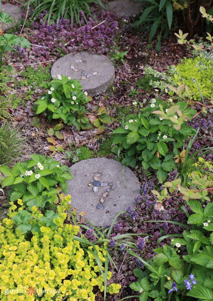 Growing Strawberries as Groundcover