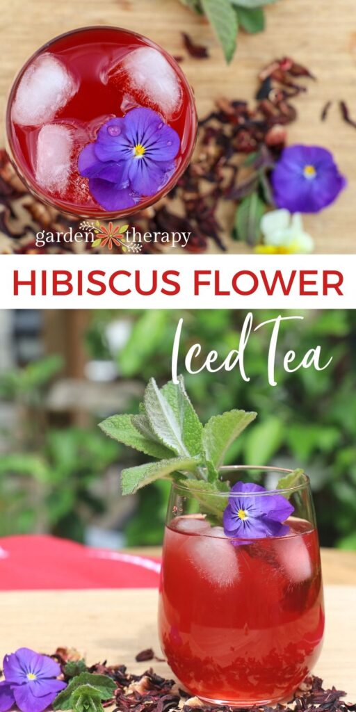 hibiscus tea pin image