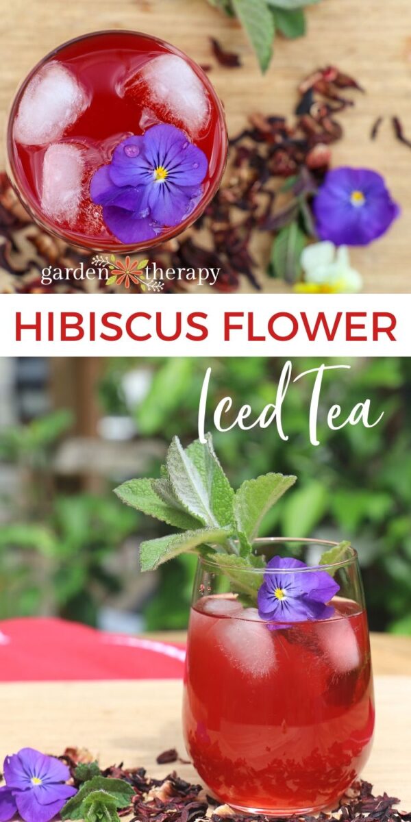 Delicious and Natural Hibiscus Iced Tea Garden Therapy