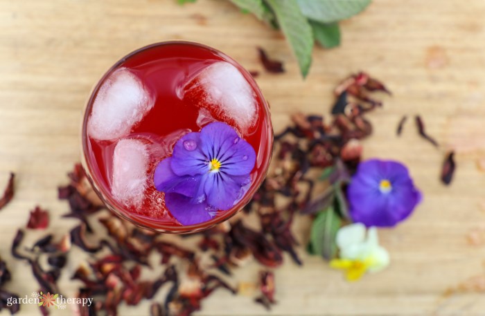 looking from above at a glass of hibiscus iced tea with purple flower in it