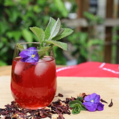 glass of hibiscus iced tea on a counter with stevia leaves in the glass