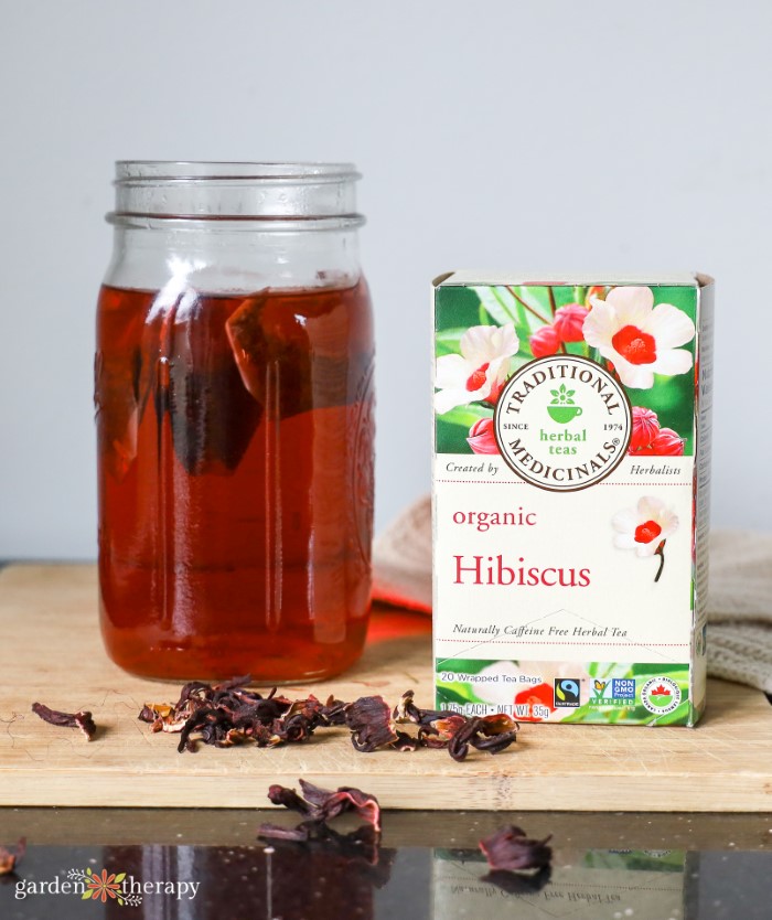 Hibiscus Iced Tea Traditional Medicinals