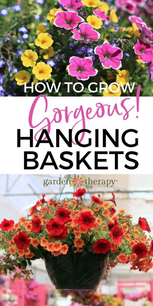 hanging baskets full of flowers