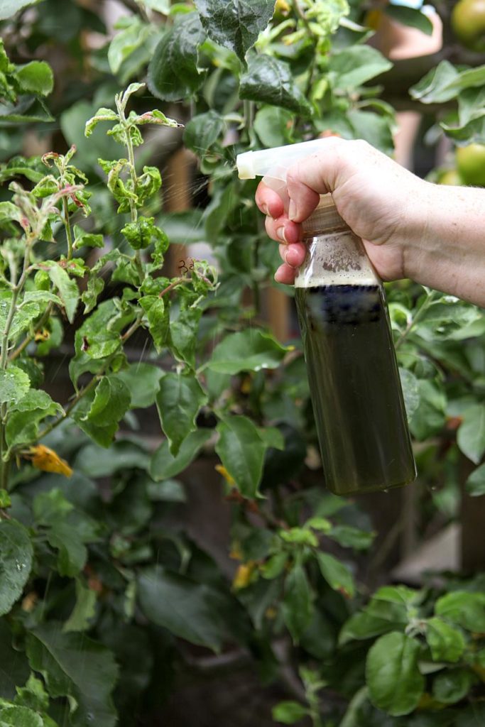 pest control spray to keep squirrels out of the garden