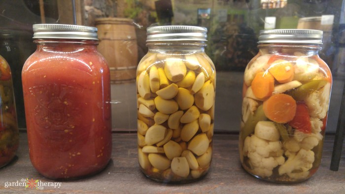 pickled garlic in large Mason jar
