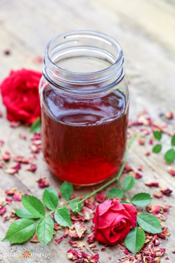 rose water in a mason jar with roses beside the jar