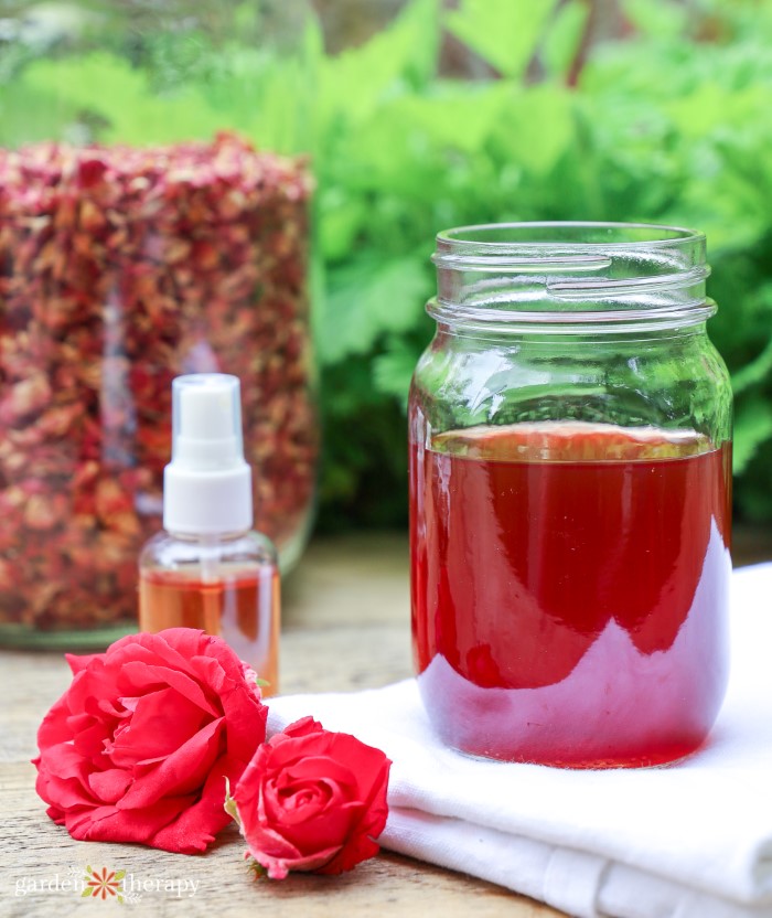 Agua de rosas en un tarro de albañil y botella de spray con rosas y pétalos de rosa secos sobre la mesa