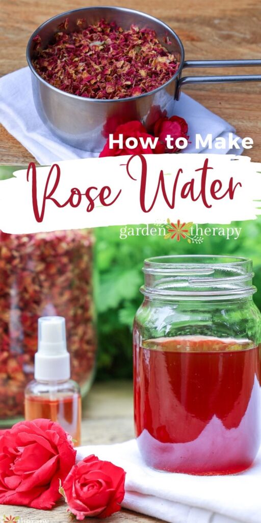 How To Make Rose Water How To Use It Garden Therapy