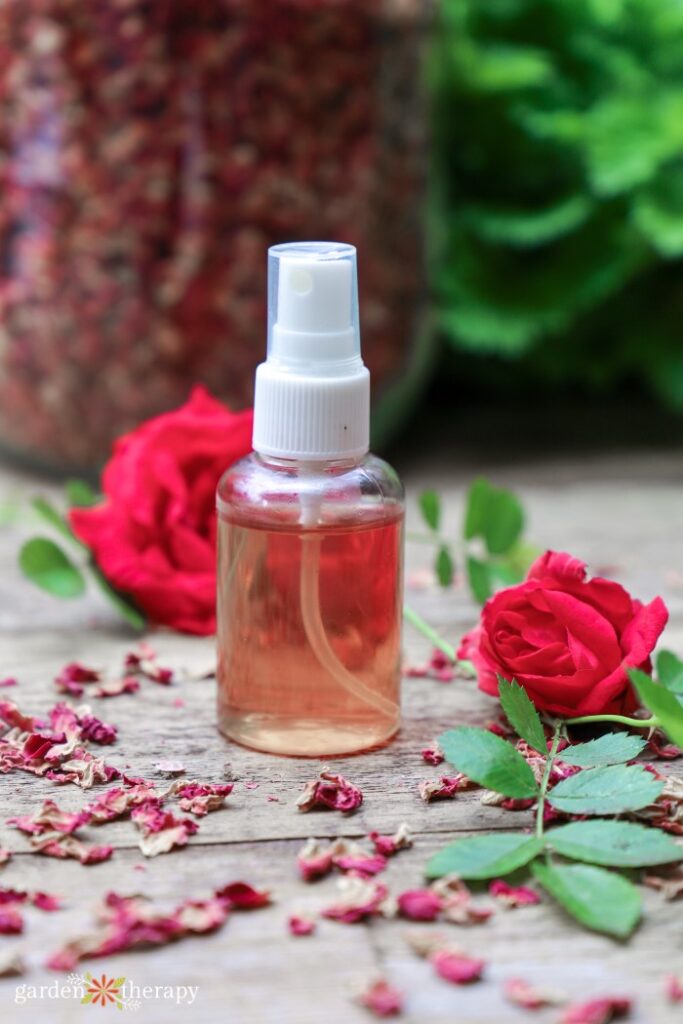 rose water in a spray bottle on a table with dried rose petals