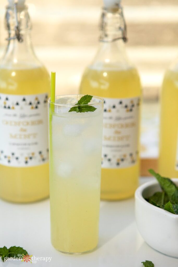 a glass of ginger mint lemonade and ice in front of bottles of lemonade