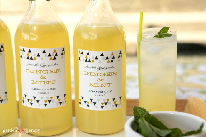 bottles of ginger mint lemonade next to a glass of the lemonade and ice