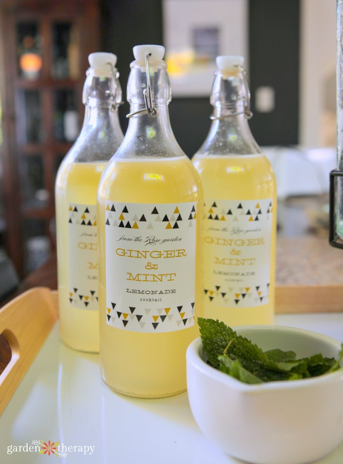 3 bottles of ginger and mint lemonade on a tray with a bowl of fresh mint