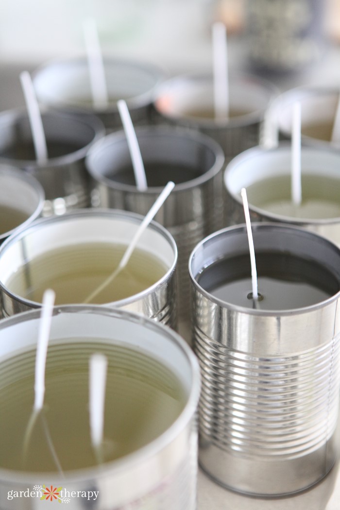 How to Make DIY Citronella Candles