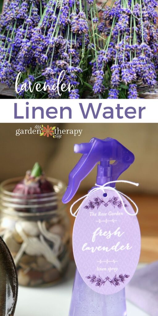 Lavender linen water in a spray bottle next to dried lavender