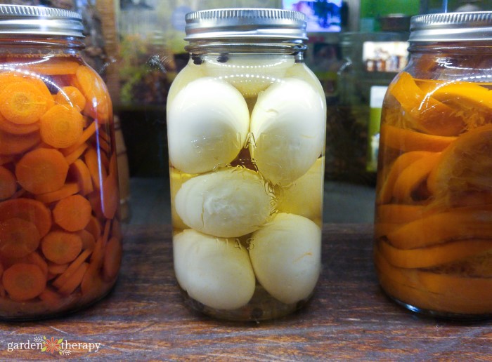 Pickled eggs in a glass jar next to pickling carrots.