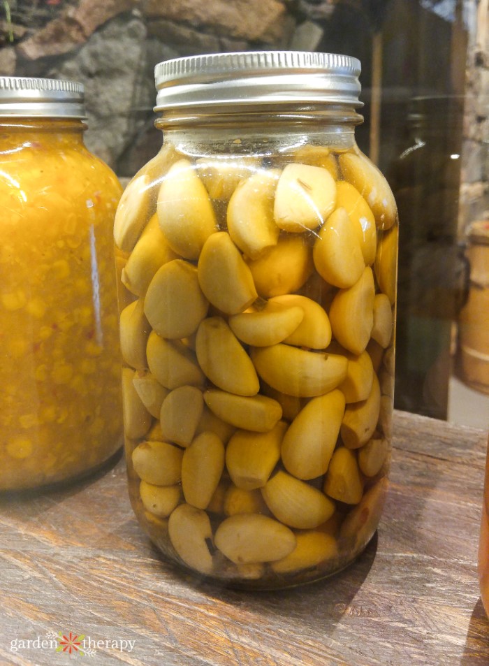 Jar of homemade pickled garlic