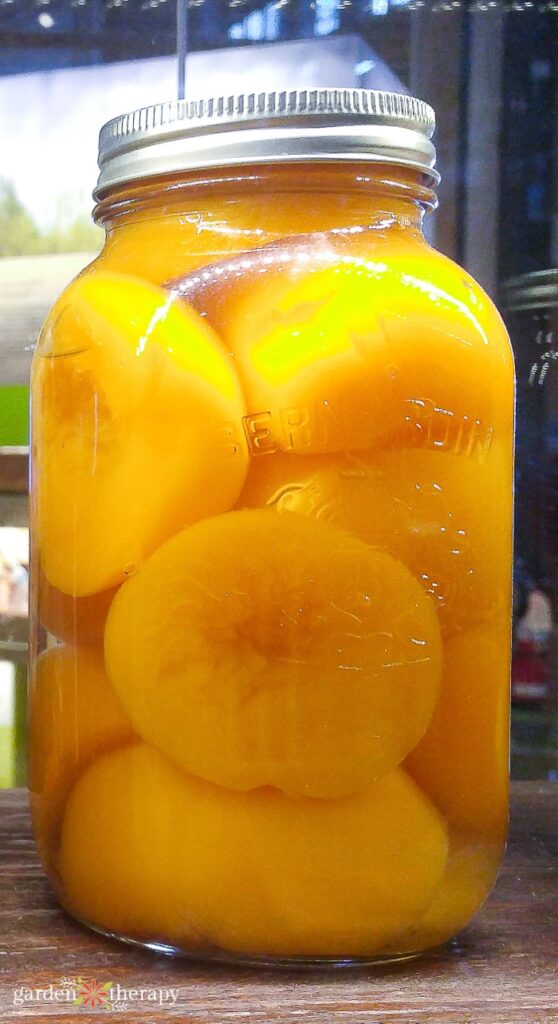 Jar of pickled peaches