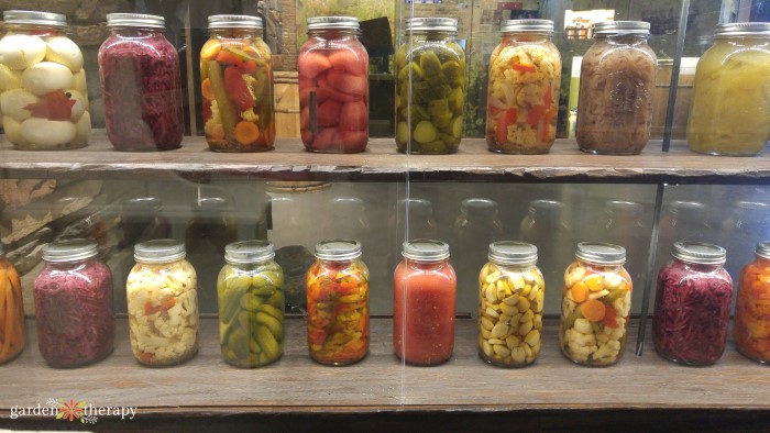 Rows of glass jars filled with homemade pickles