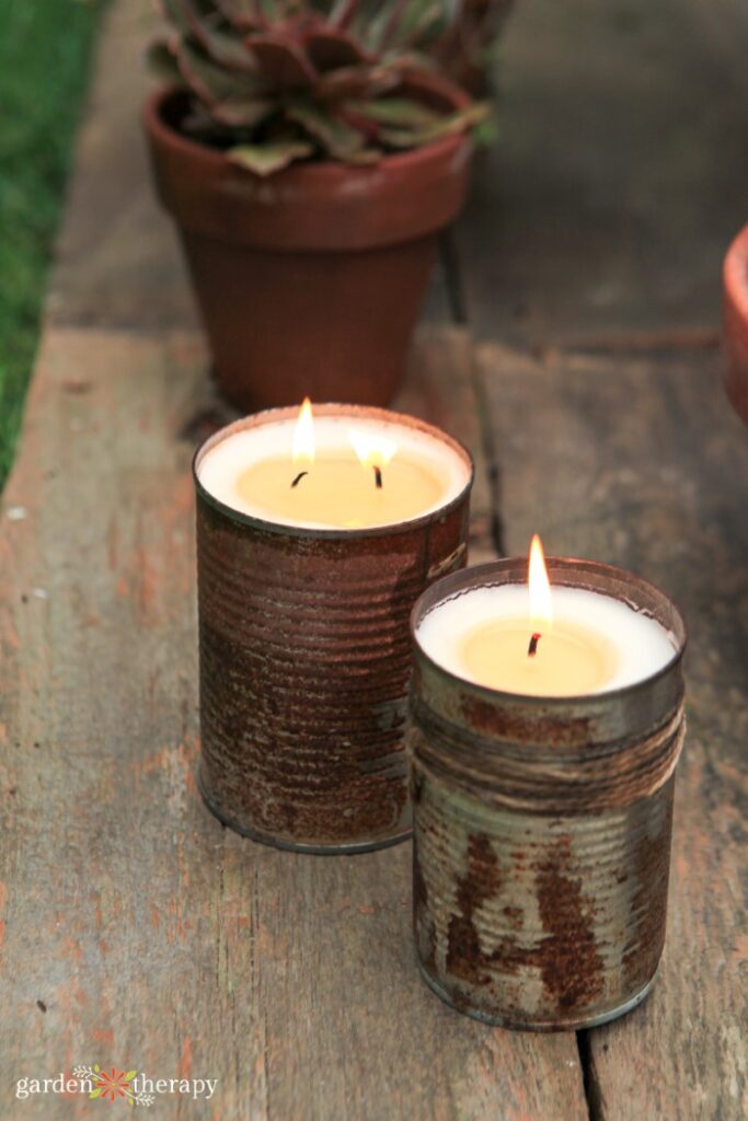 citronella candles to stop mosquitoes as garden pests