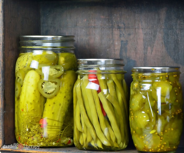 Cucumber and beans being pickled in glass jars.