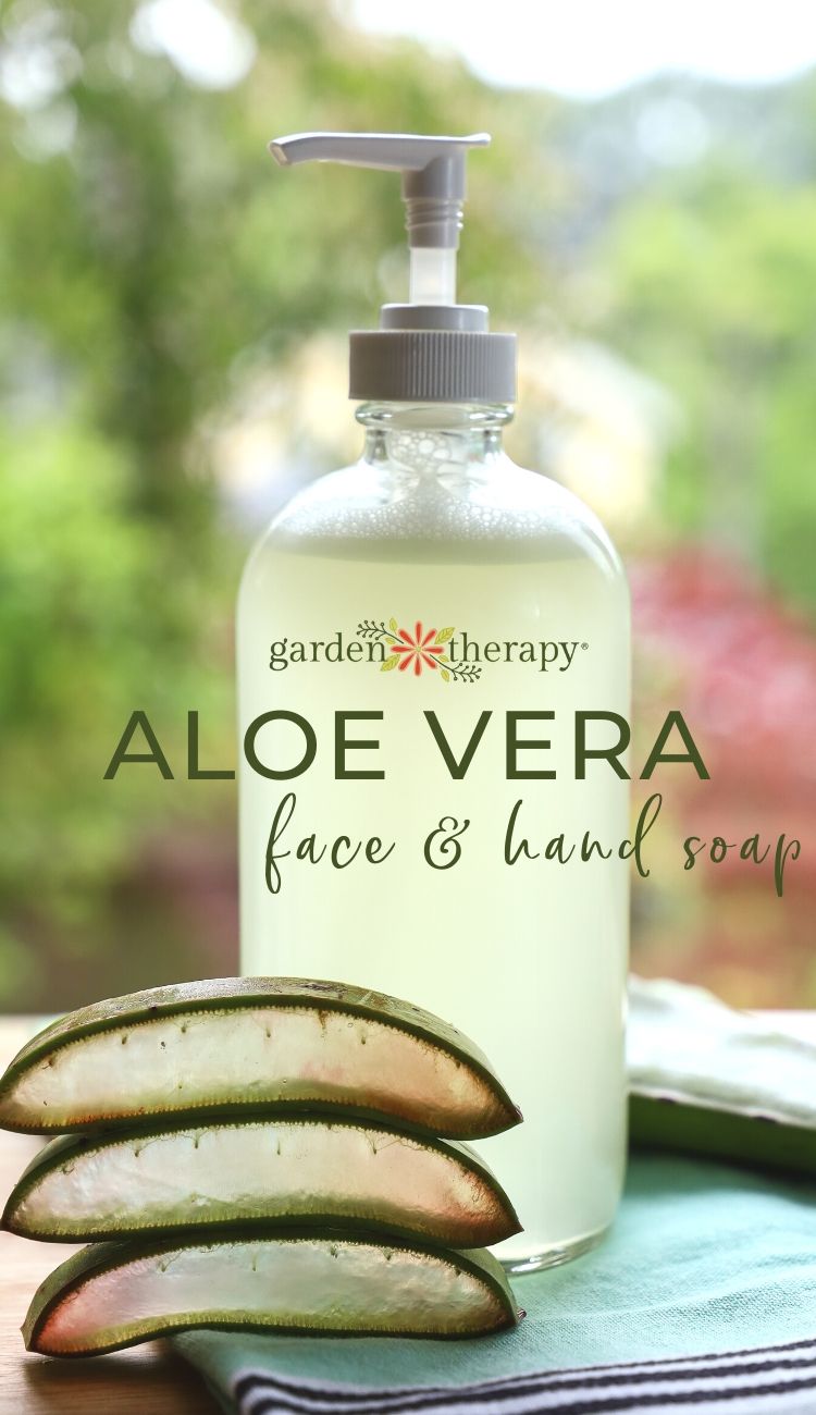 Aloe Vera Natural Soap Base for Soap Makers