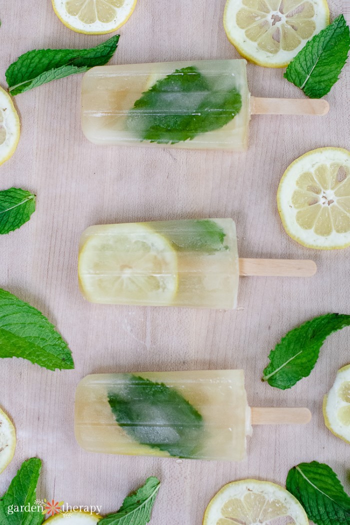 Lemon and mint mojito popsicles