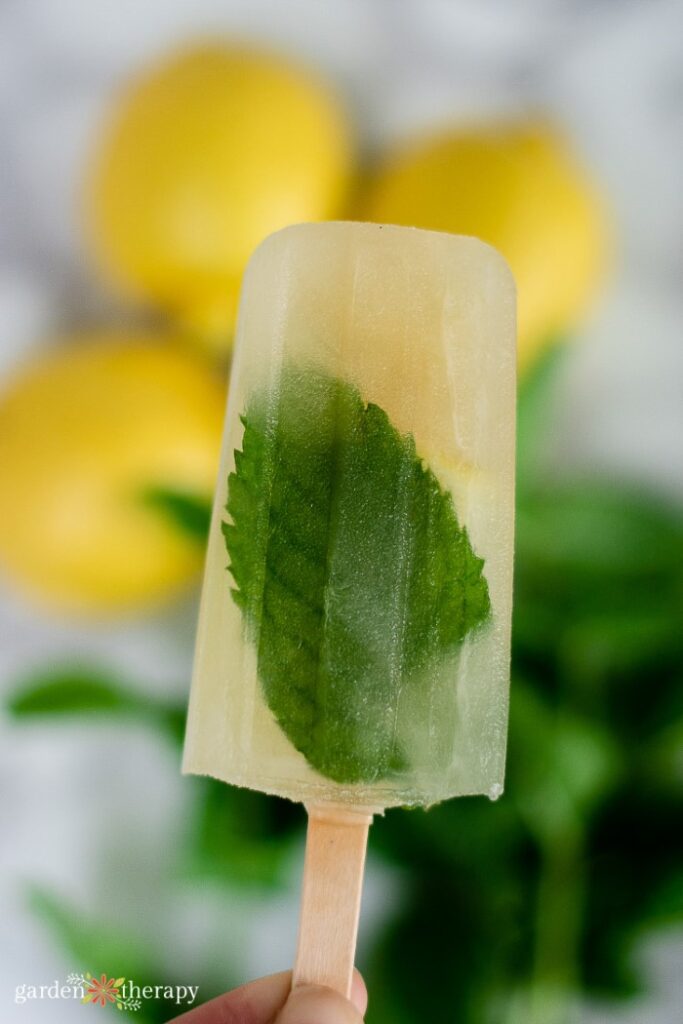 Piece of fresh mint in a yellow frozen popsicle