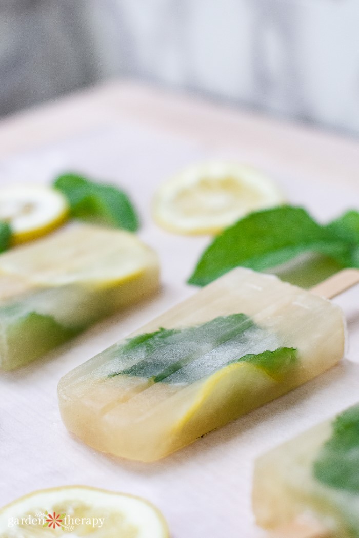 Popsicles on sheet with mint and lemon