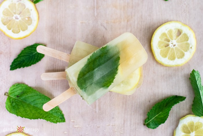 Mojito popsicles made with lemon and mint.