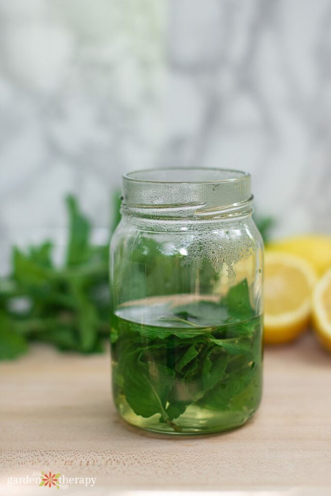 mint tea steeping in a Mason jar
