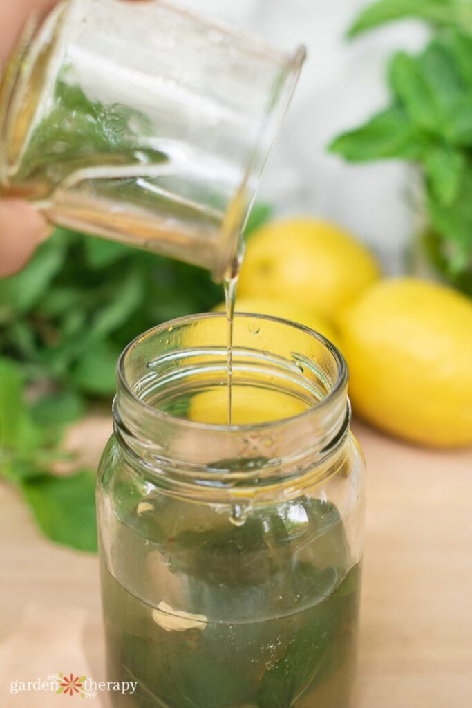 adding honey to mint tea