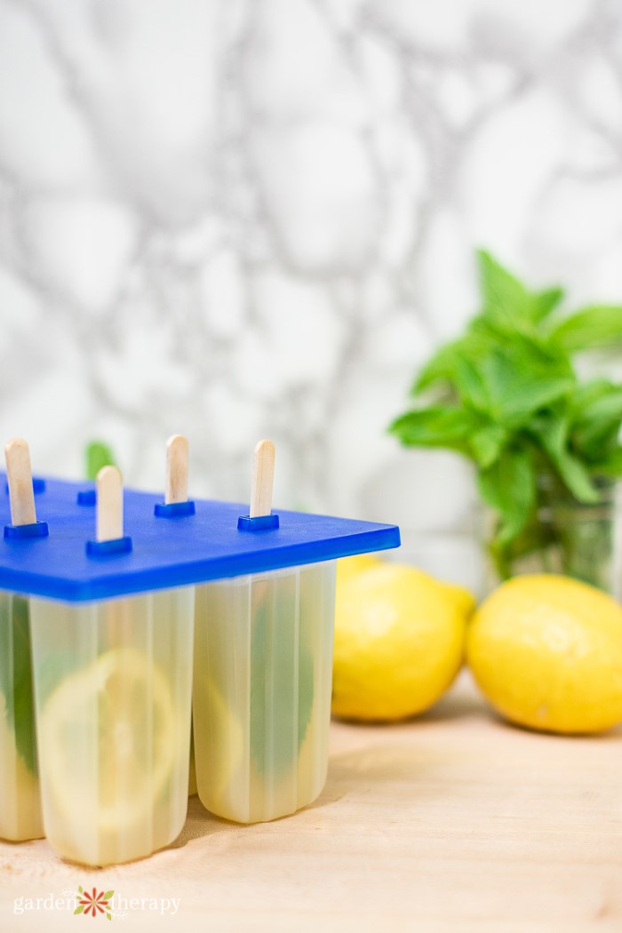 Popsicle molds filled with lemon and mint