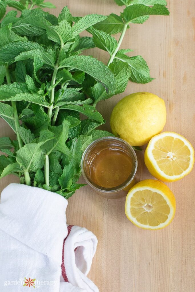 freshly harvested mint, honey, and lemonade