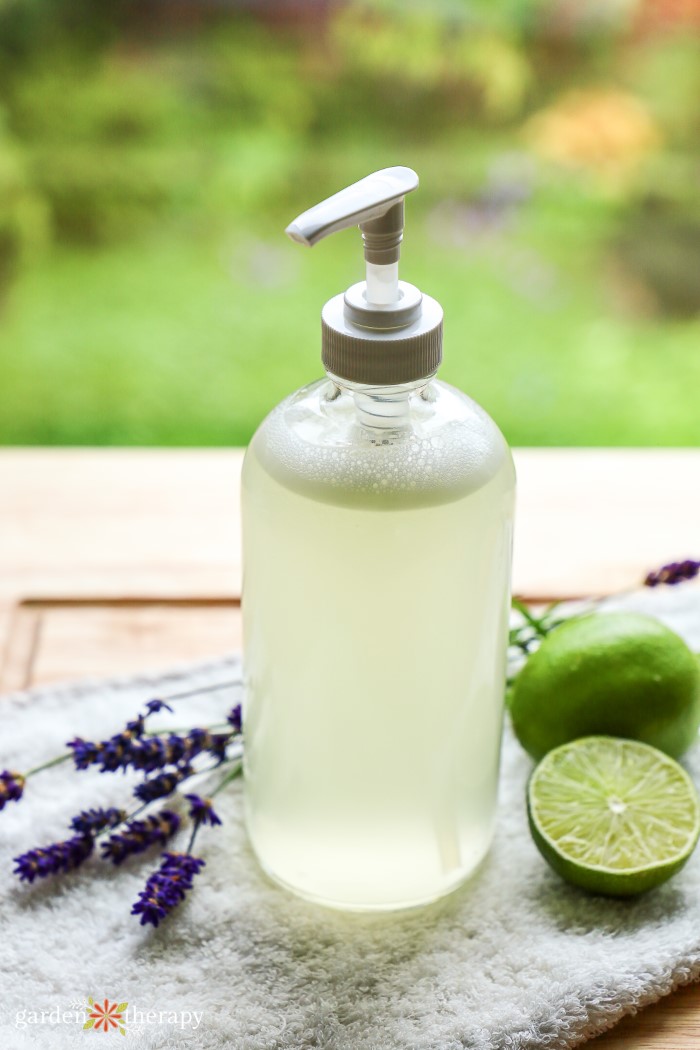 Aloe vera soap in a pump bottle next to lavender and lime