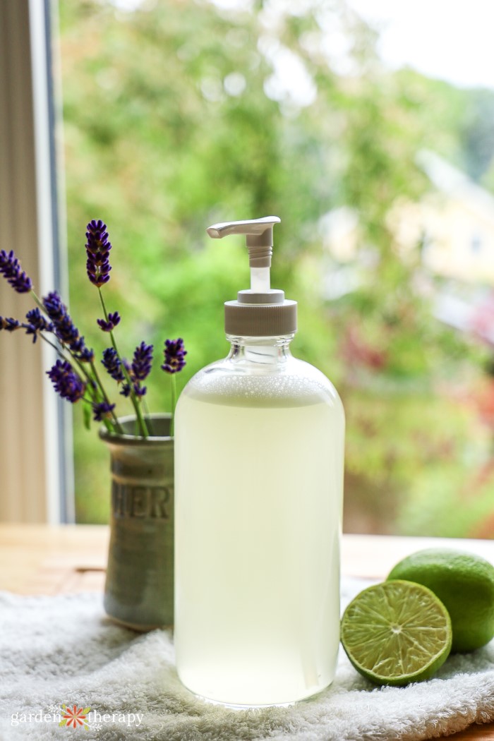 Glass bottle of aloe vera soap with a container of lavender and lime